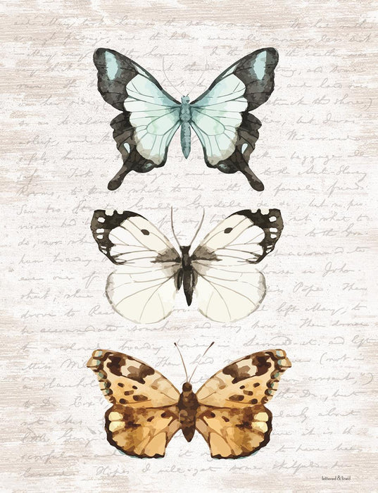 Framed Small - Butterfly Trio By Lettered & Lined - Pearl Silver