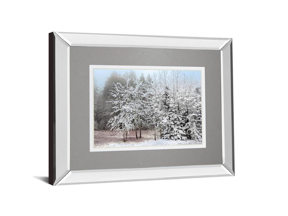 Frosty Morning By Mike Jone - Mirror Framed Print Wall Art - White