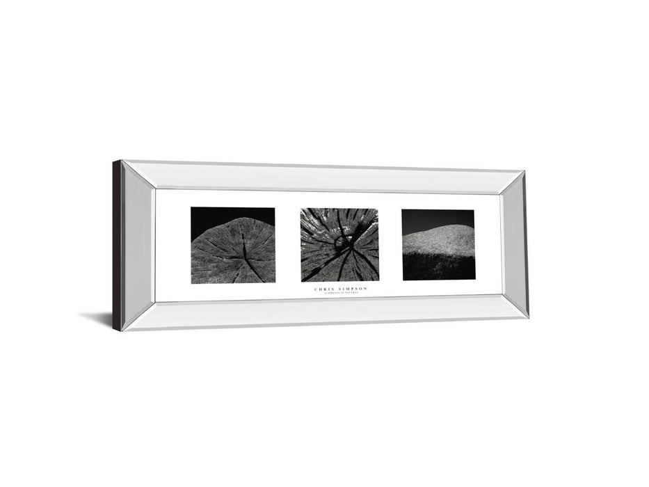 Elements Of Nature 2 By Chris Simpson - Mirror Framed Print Wall Art - Black