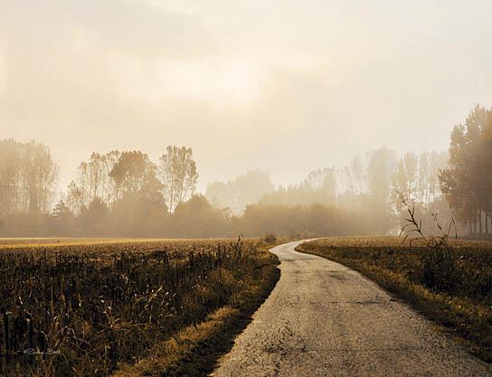 Country Road By Susan Ball (Framed) - Light Brown