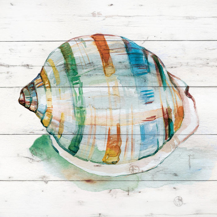 Small - Tye Dyed Shell I By Carol Robinson - Green