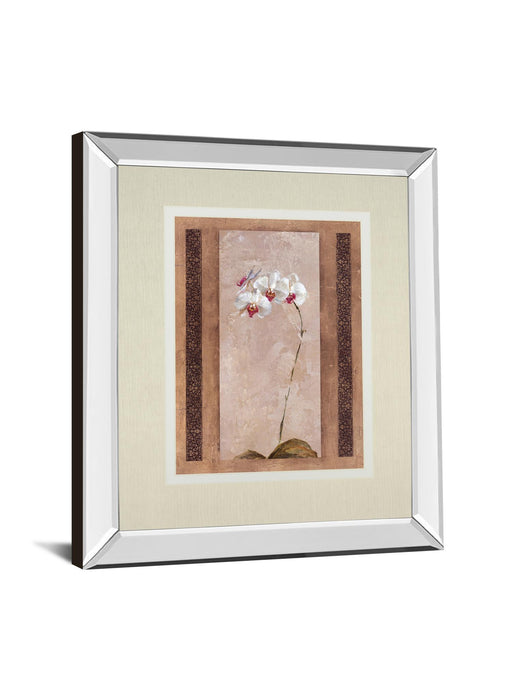 Contemporary Orchid Il By Carney - Mirror Framed Print Wall Art - Pink