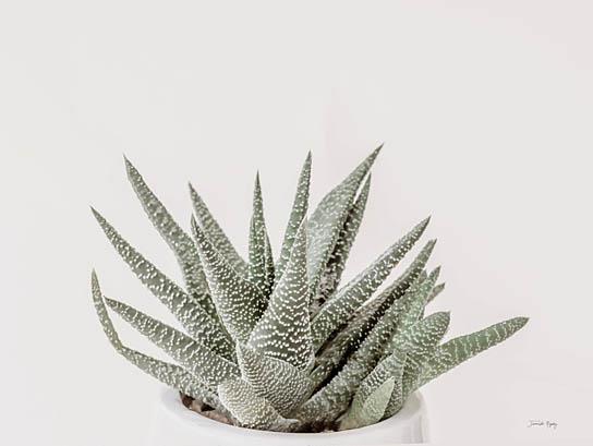 Boho Succulent By Jennifer Rigsby (Small) - Dark Green