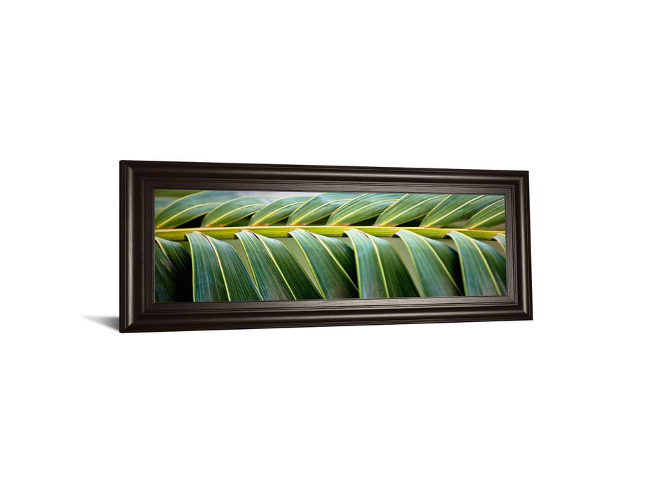 Palma I By Susan Bryant - Framed Print Wall Art - Green