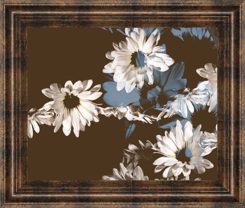 Chocolate Bloom Il By A. Project Framed Print Wall Art - Dark Brown