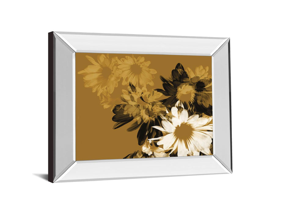 Golden Bloom Il By Mirror Framed Print Wall Art - Dark Brown