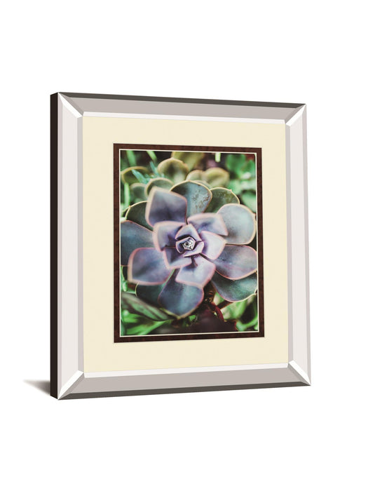 Succulence Beauty By Chelsea Kedron Mirrored Frame - Blue