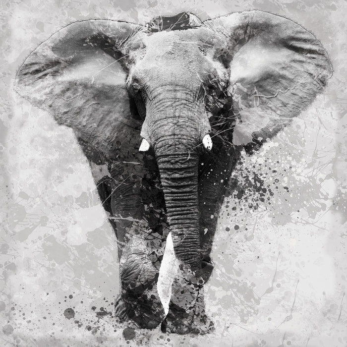 Framed - Proud Elephant By Carol Robinson - Dark Gray