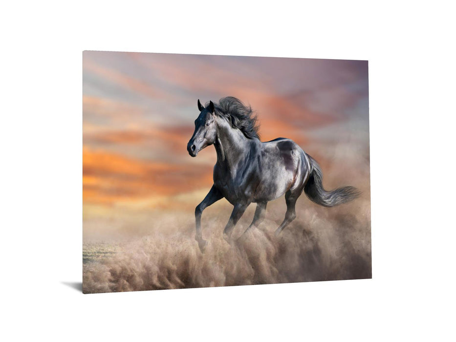 Tempered Glass With Foil - Running Horse - Dark Gray