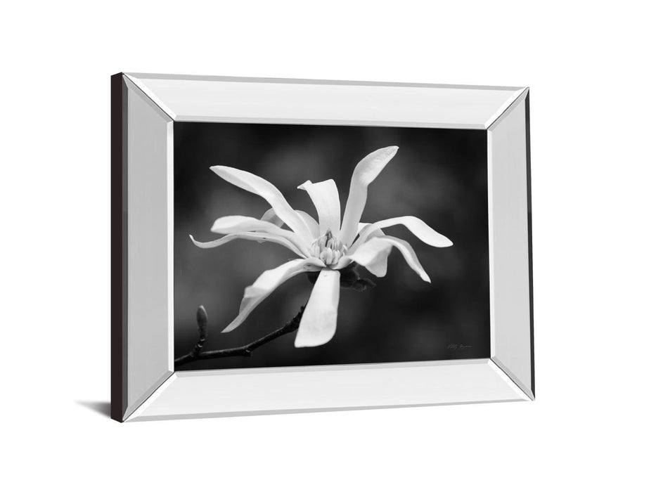 Magnolia Dreams I By Geyman Vitaly - Mirror Framed Print Wall Art - White