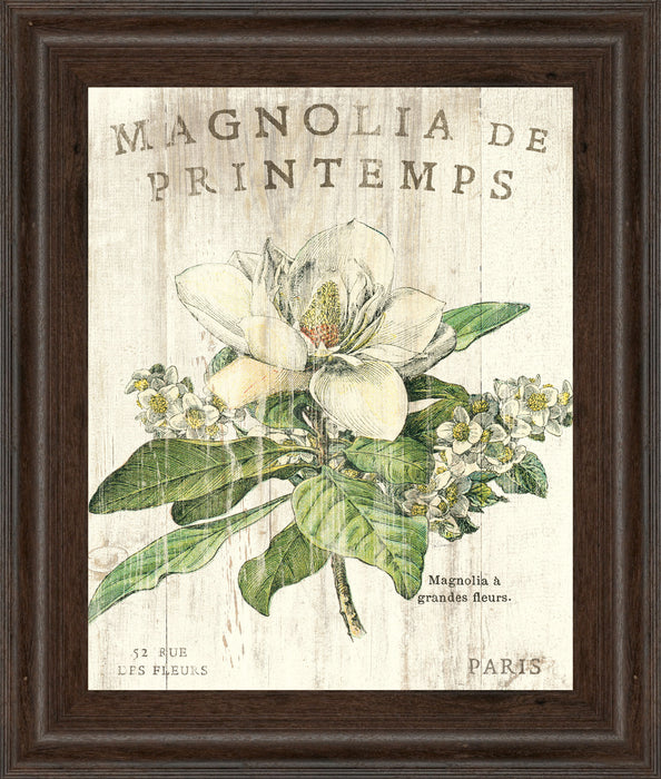 Magnolia De Printemps By Sue Schlabach - Framed Print Wall Art - White