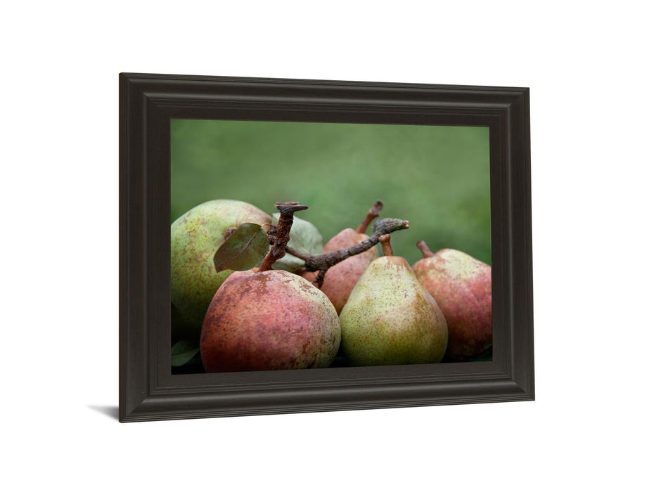 Comice Pear Il By Rachel Perry - Framed Print Wall Art - Green