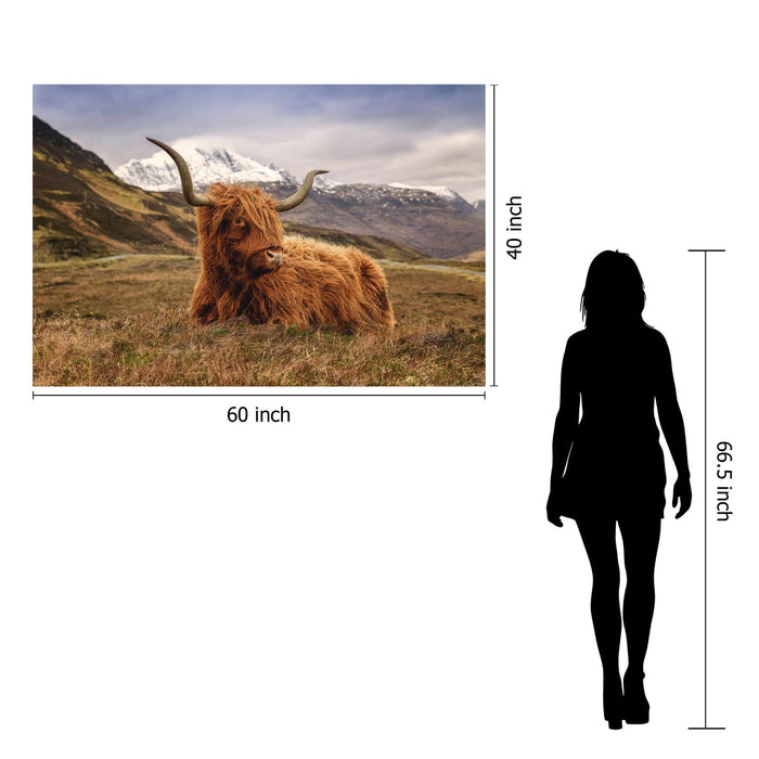 Tempered Glass With Foil - Highland Cow 2 - Light Brown