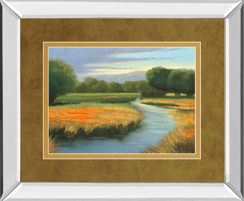 California Orange By Julie Peterson - Mirror Framed Print Wall Art - Gold