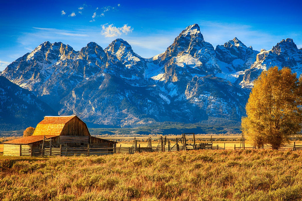 Tempered Glass With Foil - Mountainous Barn - Blue