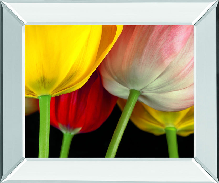 Sunshine Tulips By Frank, A. - Mirror Framed Print Wall Art - Yellow