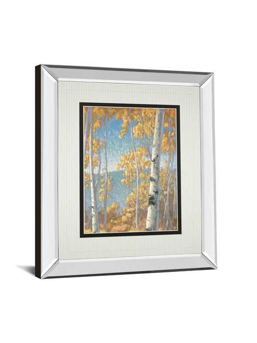 Honey Birch Il By John Macnab - Mirror Framed Print Wall Art - Yellow