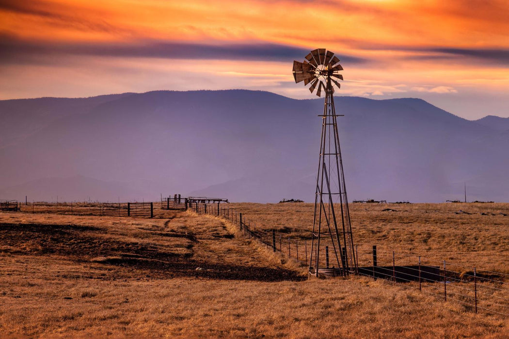 Tempered Glass - Windmill On The Prairie - Light Brown