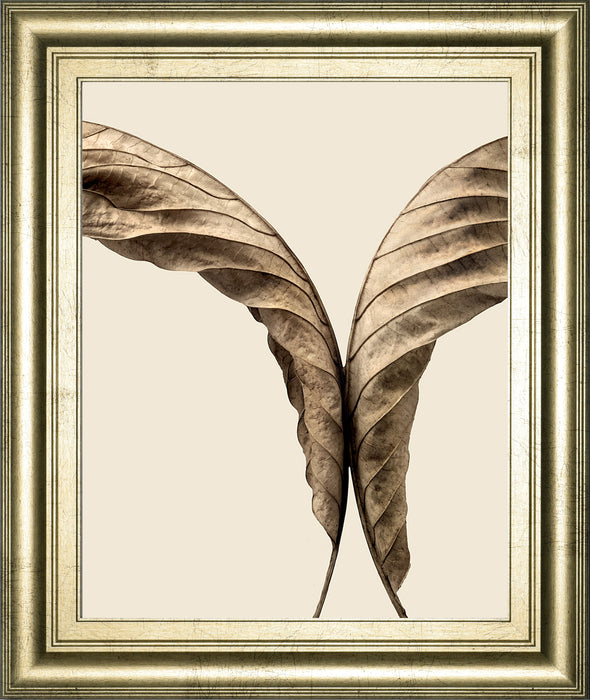 Turning Leaves Il By Jeff Friesen - Framed Print Wall Art - Dark Brown