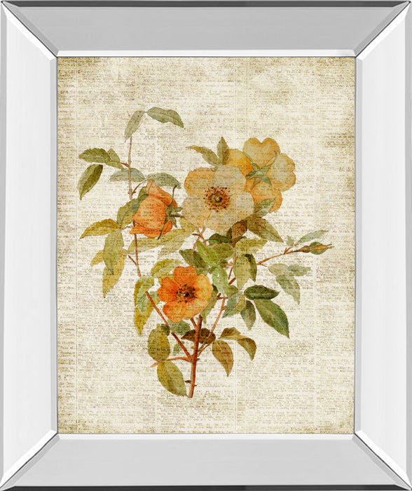 Roses On Newsprint I By Lanie Loreth - Mirror Framed Print Wall Art - Beige