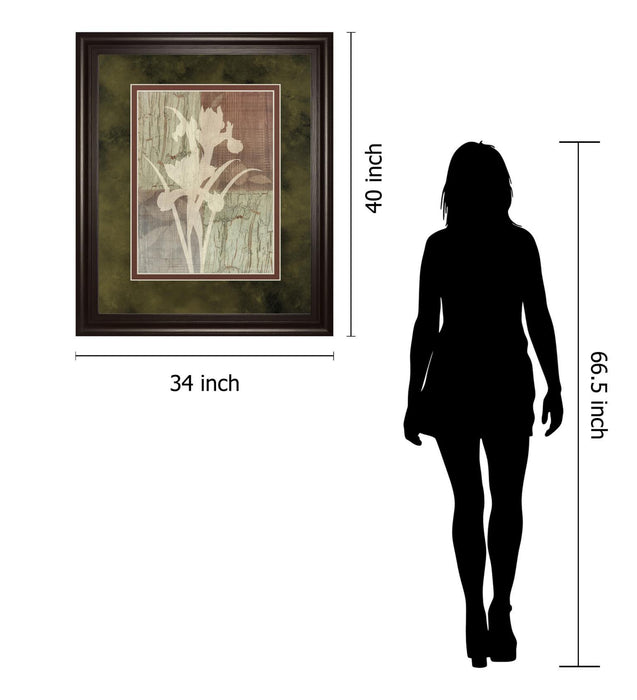 Iris Silhouette By Various - Framed Print Wall Art - White