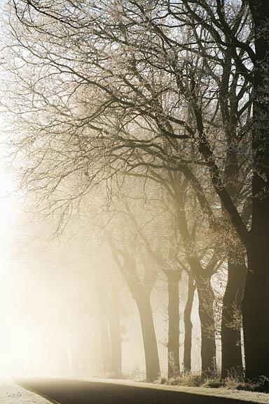 Fading Into The Light By Martin Podt (Framed) (Small) - Beige