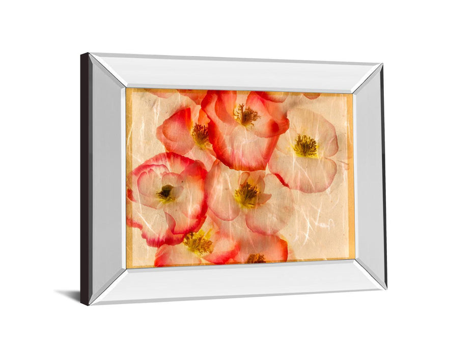 Papaver Dreams III By Harold Davis - Mirror Framed Print Wall Art - Red